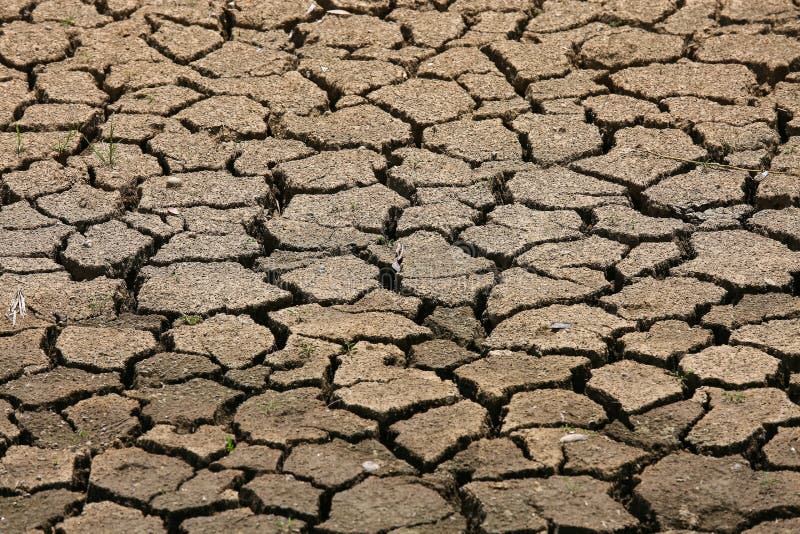 Cracked ground background and empty area for text, dry ground and hot surface of ground in summer, hot ambient around cracked royalty free stock photo Cracked ground background and empty area for text, dry ground and hot surface of ground in summer, hot ambient around cracked royalty free stock photo