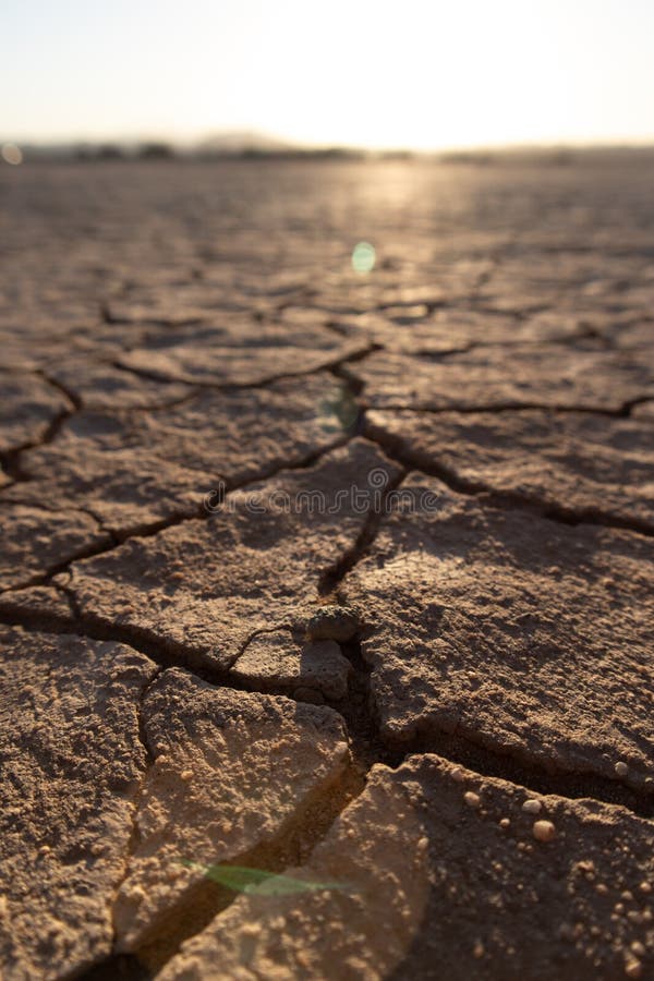 Cracked Lake Bed Detail stock photo