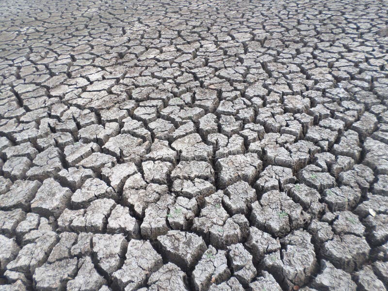 A cracked lake due to dry climate. royalty free stock images