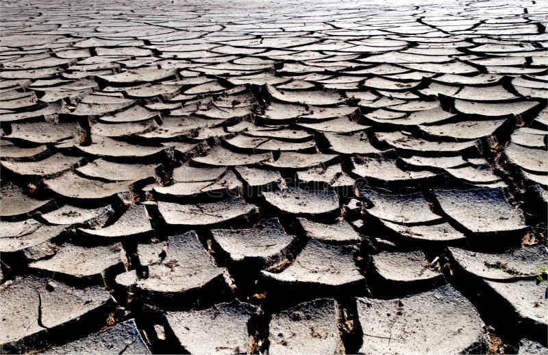 Cracked surface of dried mud. Cracked surface of dried mud