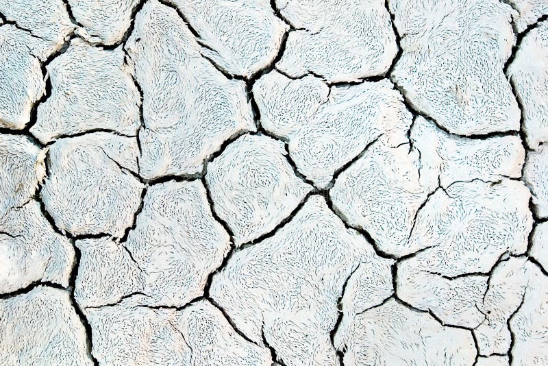 Texture of dry cracked mud. Texture of dry cracked mud