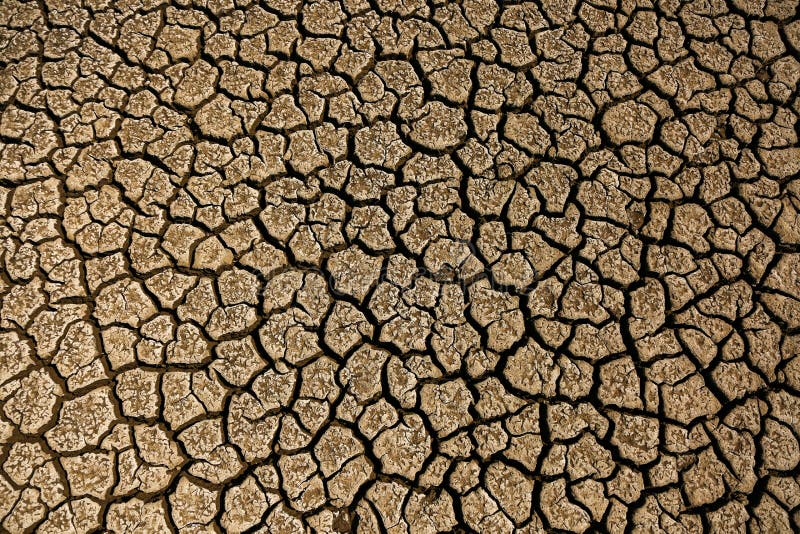 Dry land with many cracks stock photo. Image of ecology 247263612