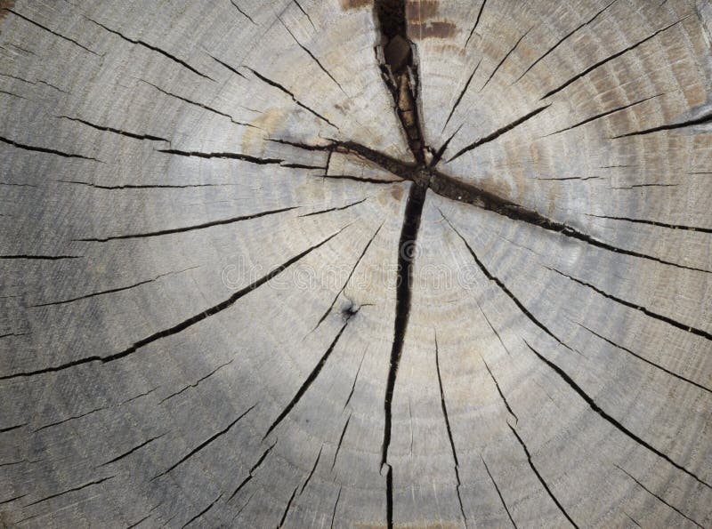 Cracked stock image. Image of grained, thick 39327691