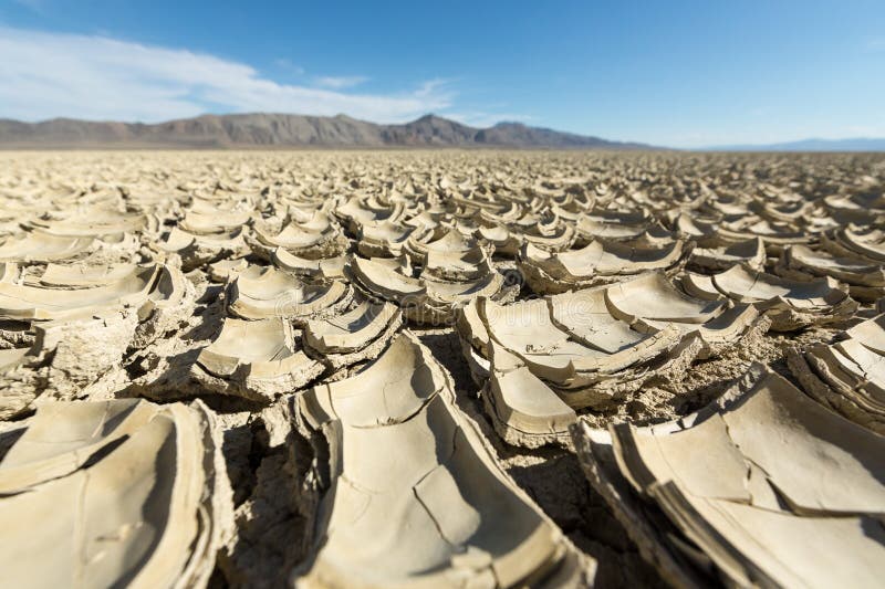 black rock desert