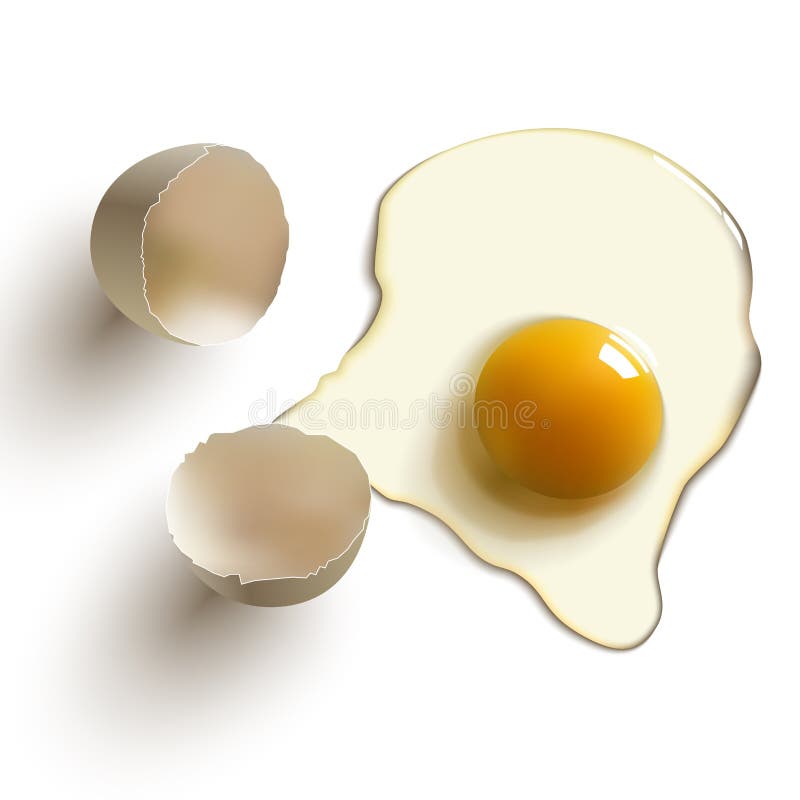 Krakovaný surové vajcia, shell, žĺtok a albumín.