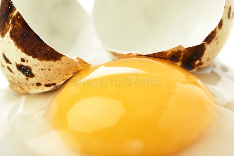Cracked Raw Quail Egg With Yolk Over White Surface Stock Photo Image