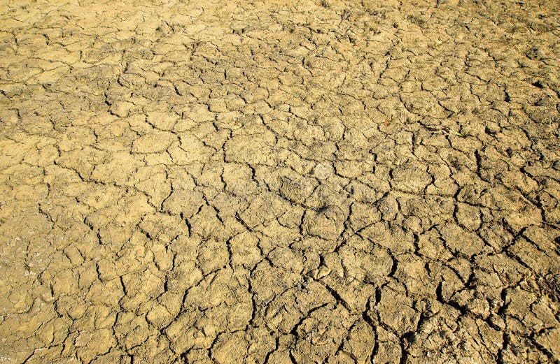 Cracked riverbed stock image