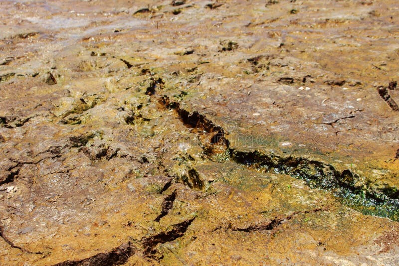 Cracked Soil royalty free stock photos