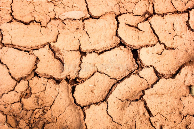 Cracked soil during the dry season background