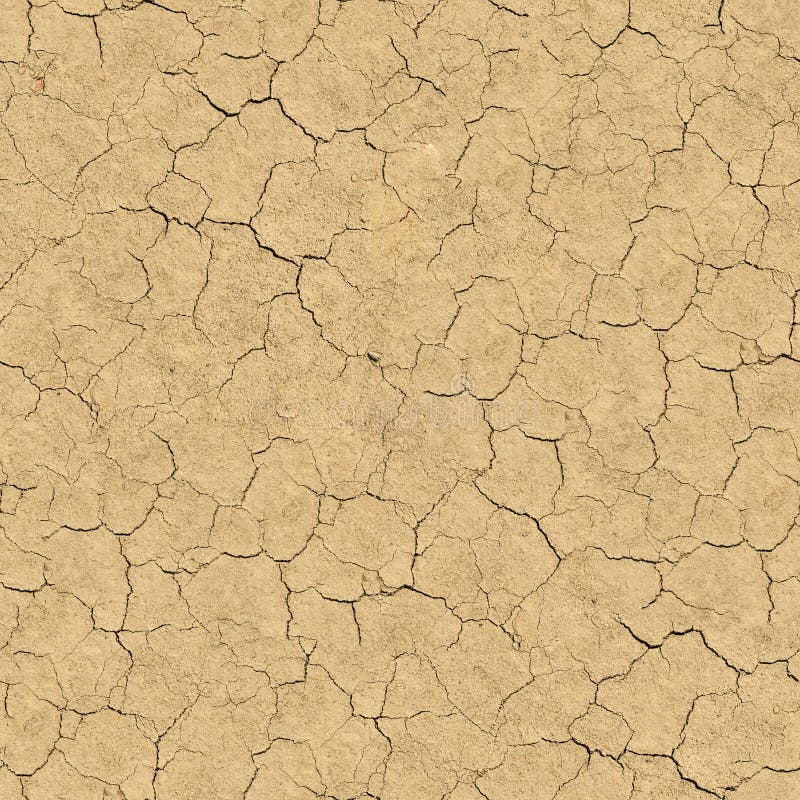 Cracked Soil. Seamless Texture.