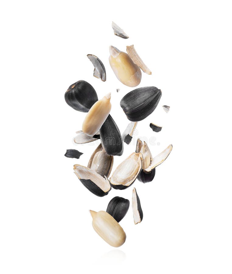 Cracked Sunflower Seed Fall Down, Isolated On A White Background Stock