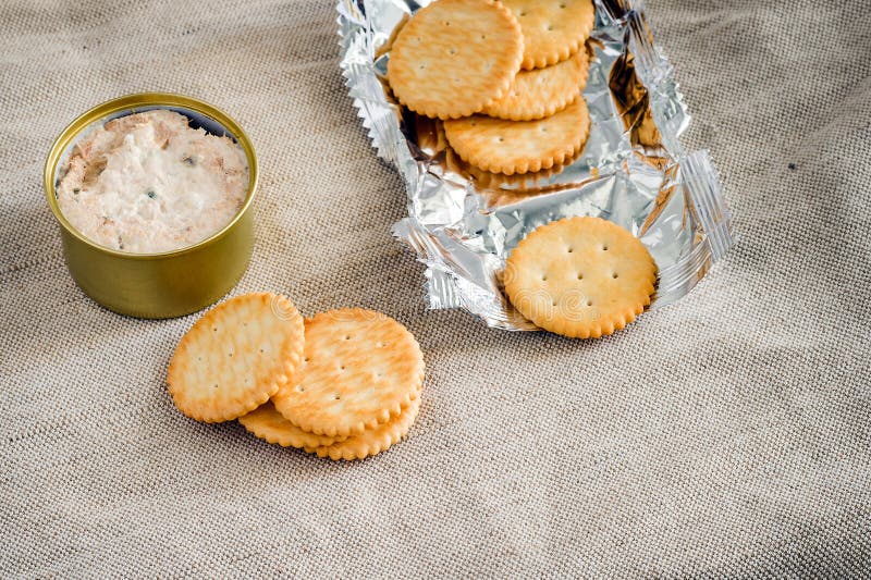 Cracker with tuna spread stock image. Image of freshness 49502561