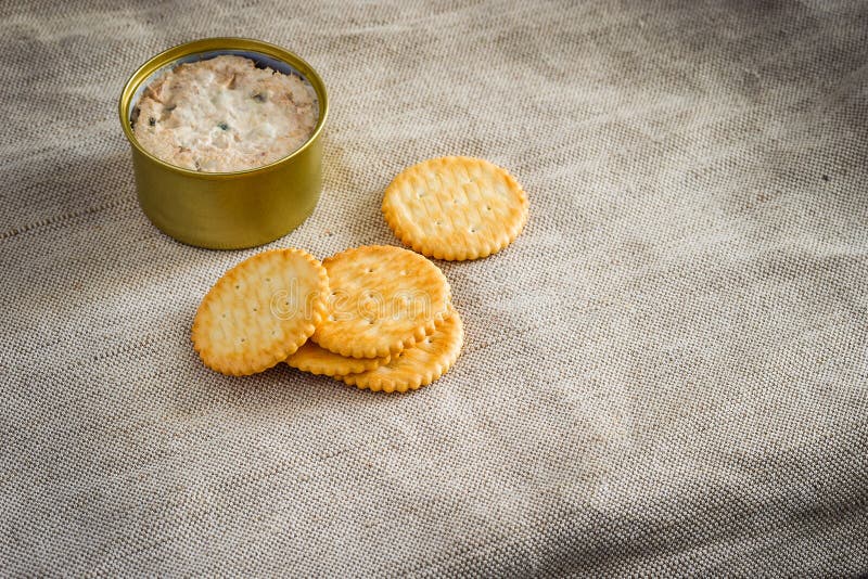 Cracker with tuna spread stock photo. Image of slice 53938950