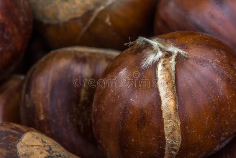 57 Chestnuts Roasting Open Fire Photos Free Royalty Free Stock Photos From Dreamstime,Soy Cheesecake