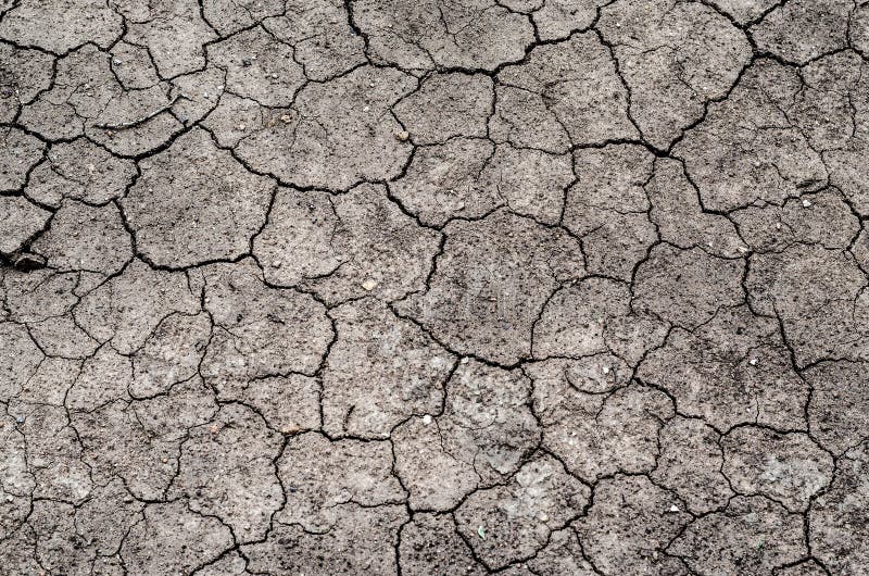 Cracks of the dried soil texture in arid season royalty free stock photo Cracks of the dried soil texture in arid season royalty free stock photo