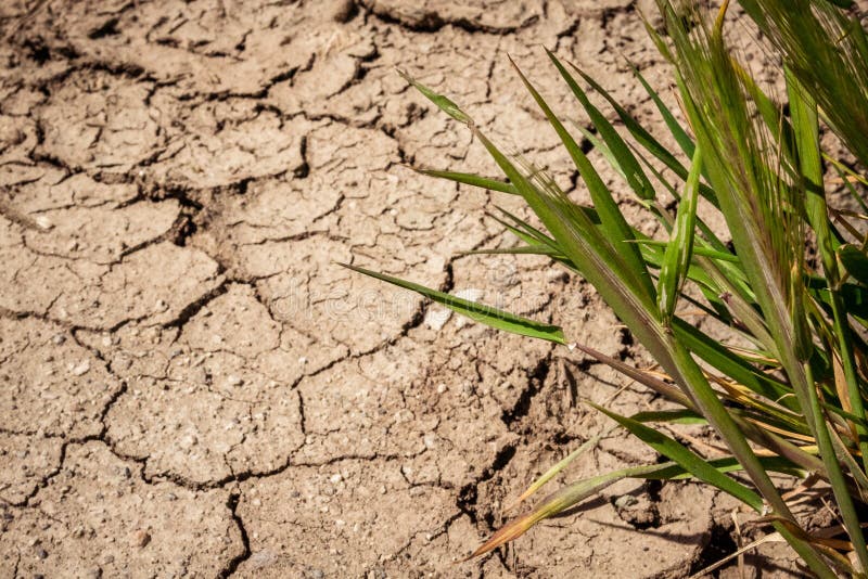 Cracks the Drought in Spain`s Dry Fields. Mud Barren. Stock Photo