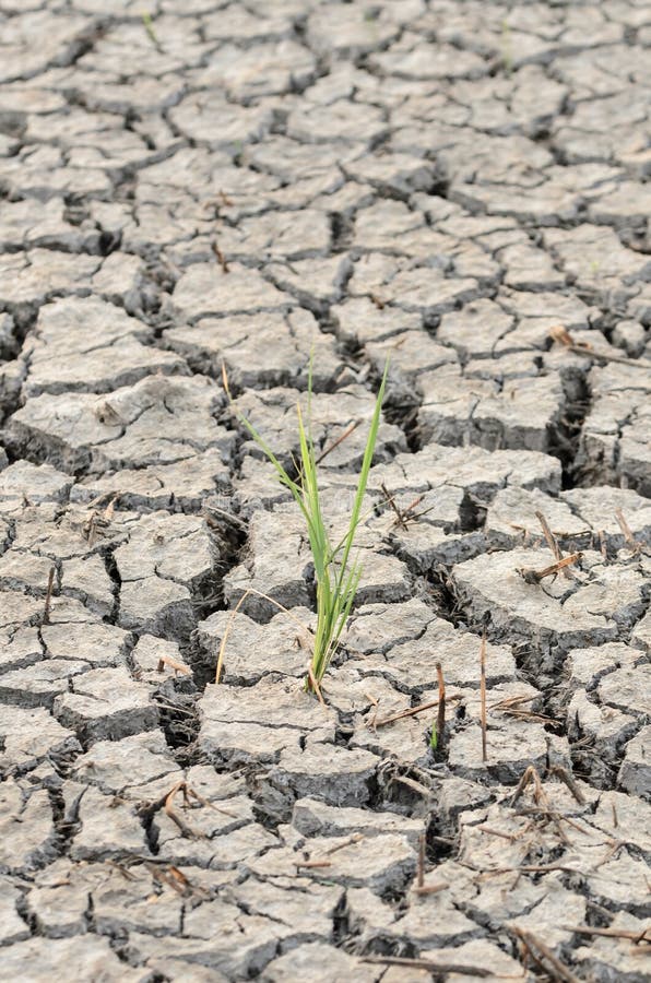 Cracks in land royalty free stock image