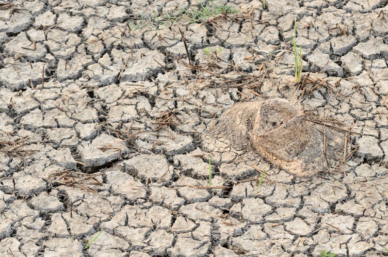 Cracks in land royalty free stock photos