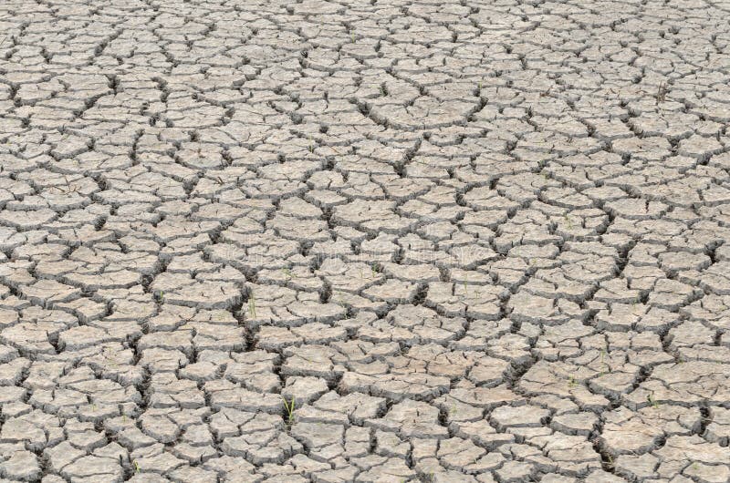 Cracks in land stock photos