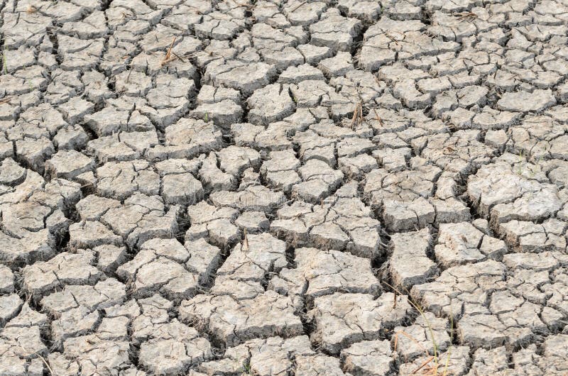 Cracks in land royalty free stock image