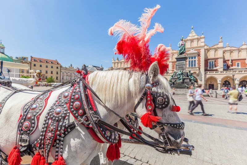 Cracow Польша Традиционный экипаж лошади на главным образом старой рыночной площади городка стоковая фотография
