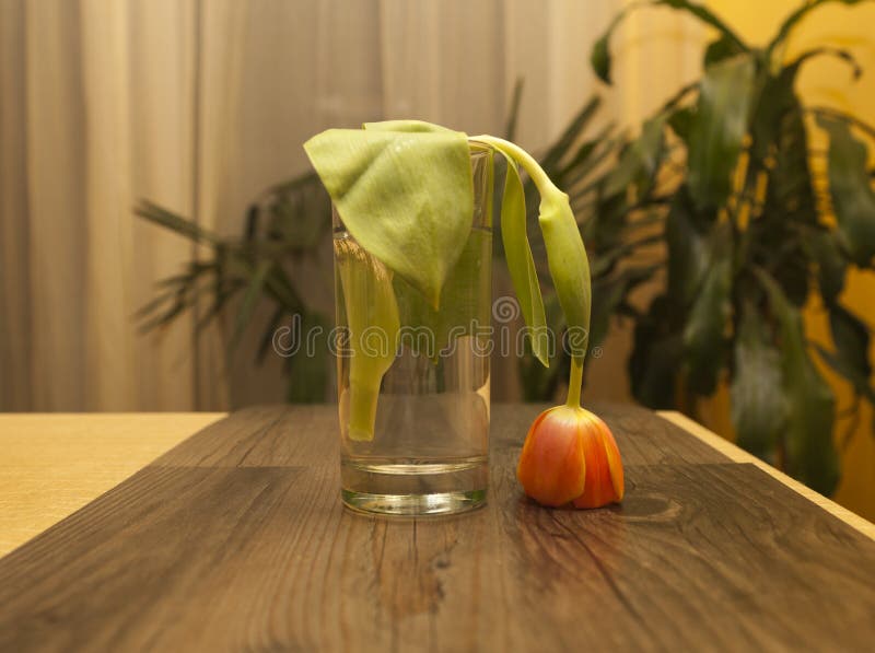 crainte photos stock crainte photos stock