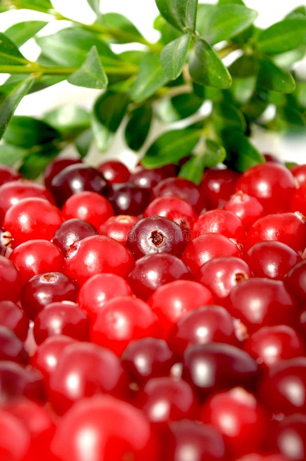 Cranberries