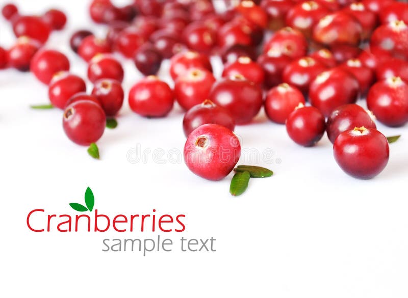 Cranberries stock photo. Image of cranberries, close, organic 6314252