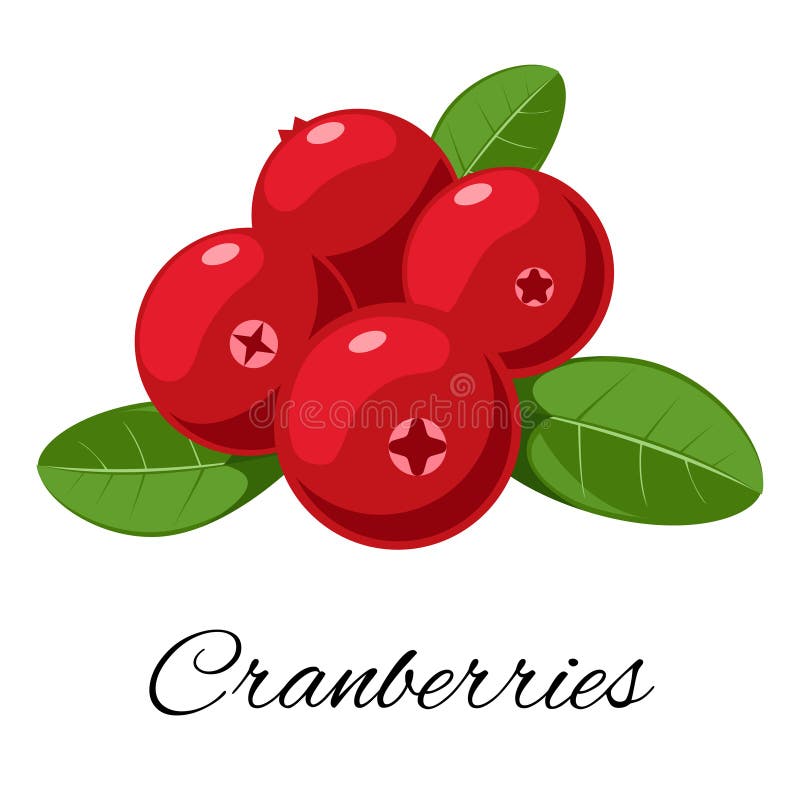 Cartoon Cranberries Stock Illustrations 5,693 Cartoon Cranberries Stock Illustrations, Vectors