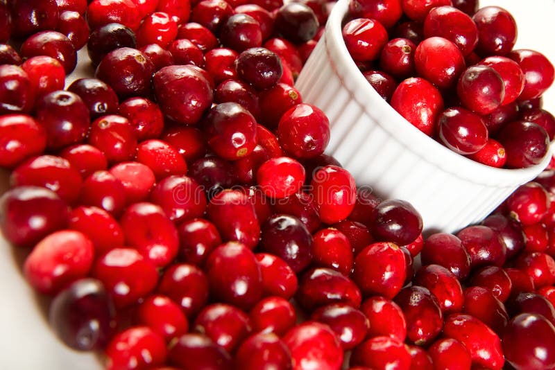 cranberries świezi obrazy royalty free cranberries świezi obrazy royalty free