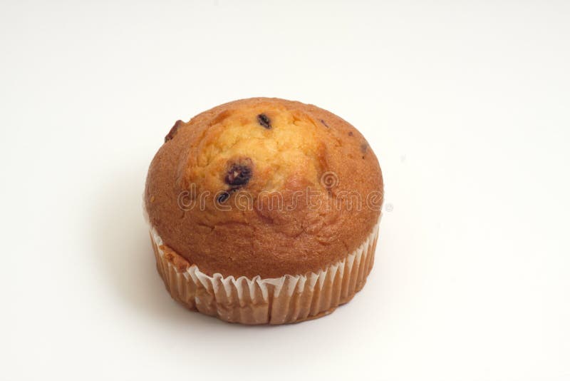 Cranberry Bran Muffin