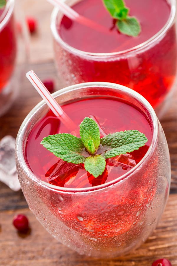 Cranberry Cocktail with Mint Garnish. Stock Image Image of berry, garnish 49102783