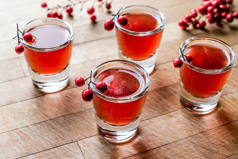 Cranberry Cocktail Shot with Vodka Stock Image Image of cranberry, holiday 91229645