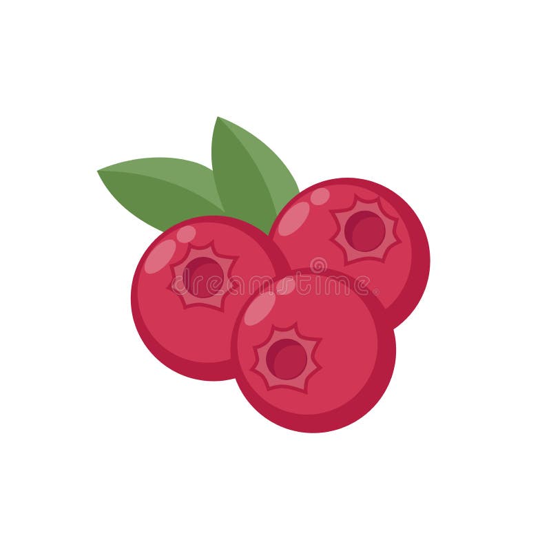 cranberries clip art