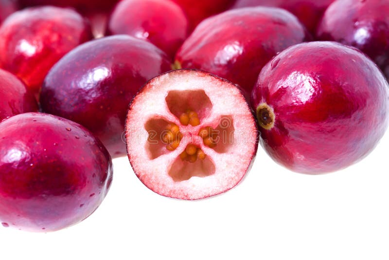 Cranberry (isolated)