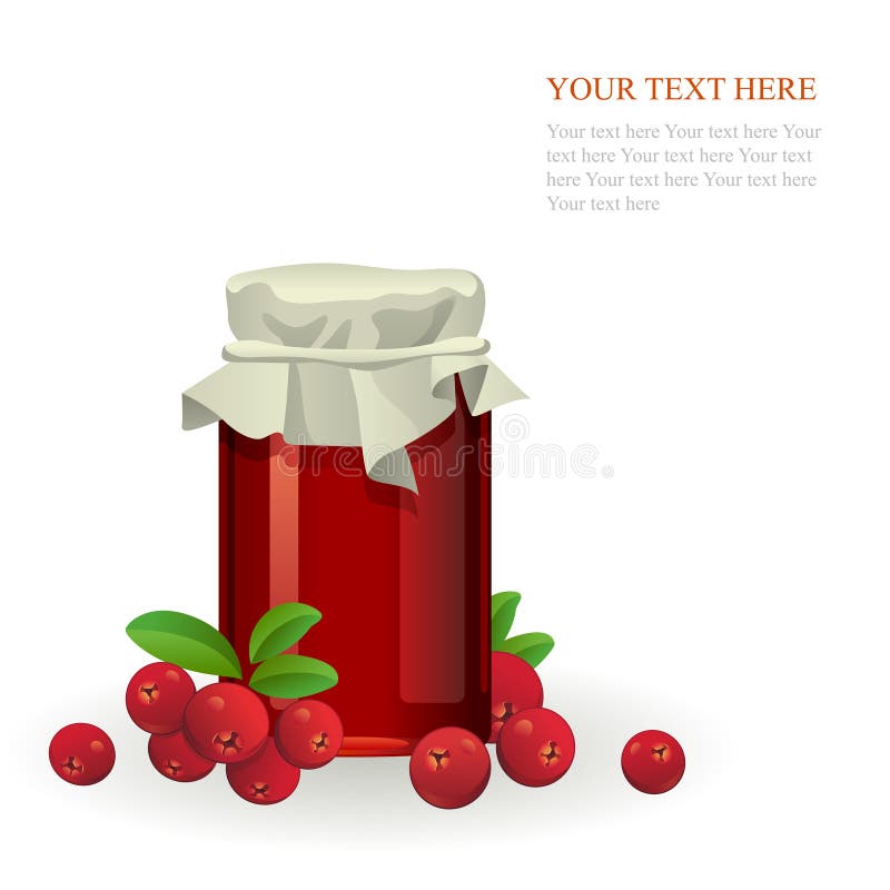 Glass of cranberry juice stock vector. Illustration of juicy 32933288