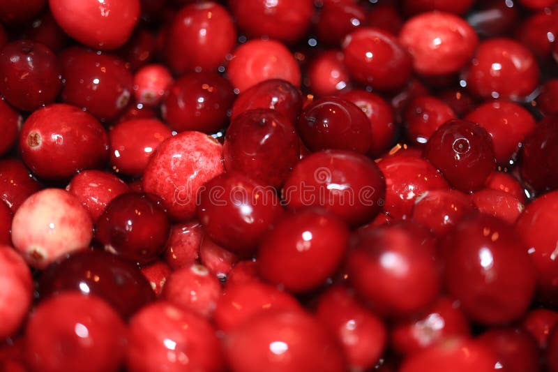 Cranberry-Sauce lizenzfreies stockfoto
