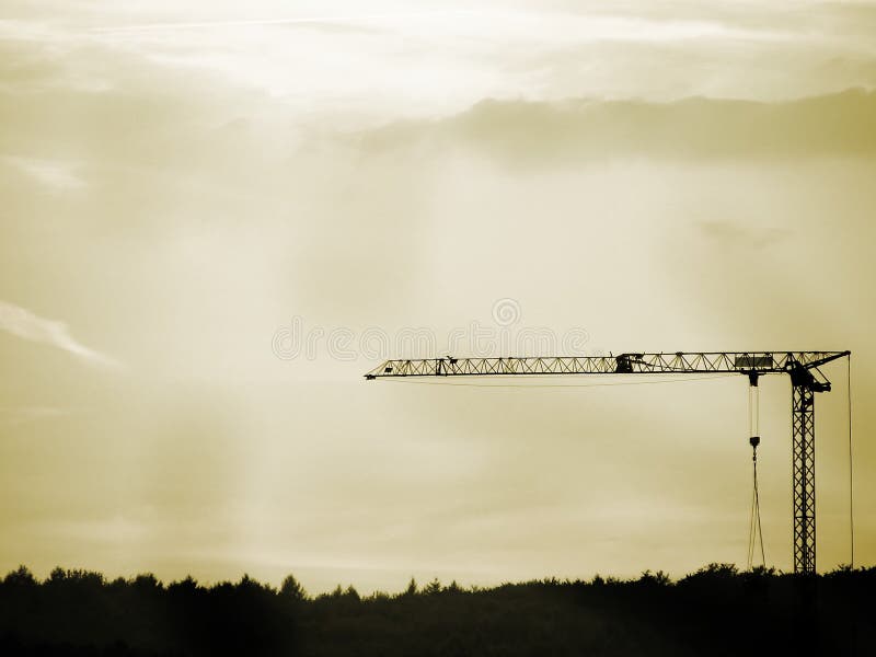 Crane