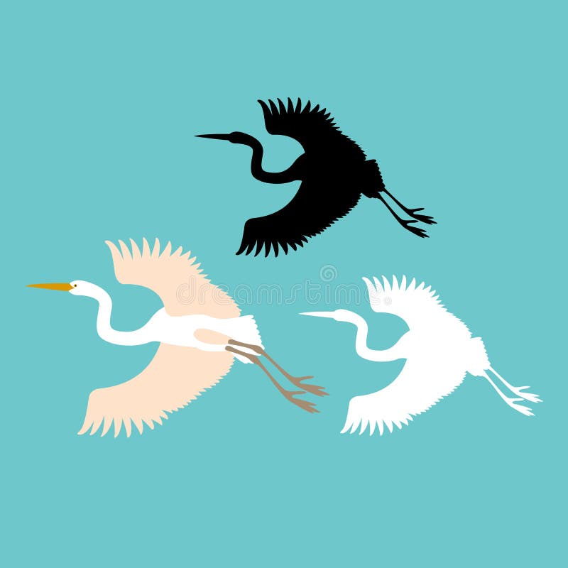 Japanese Crane Silhouette. Vector. Stock Vector Illustration of bird