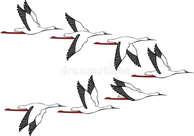 Designart ' Red Flowers With Japanese Cranes Bird Drawing ' Traditional  Canvas Wall Art Print - Walmart.com
