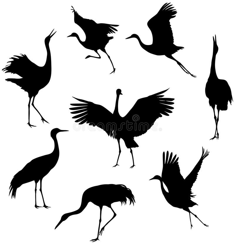 Silhouettes of Flying Birds. Cranes Stock Vector - Illustration of ...