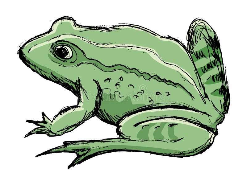 Crapaud illustration de vecteur. Illustration du peau 40022971