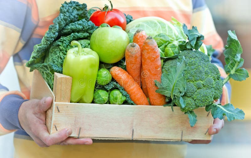 Crate full of fresh organic food