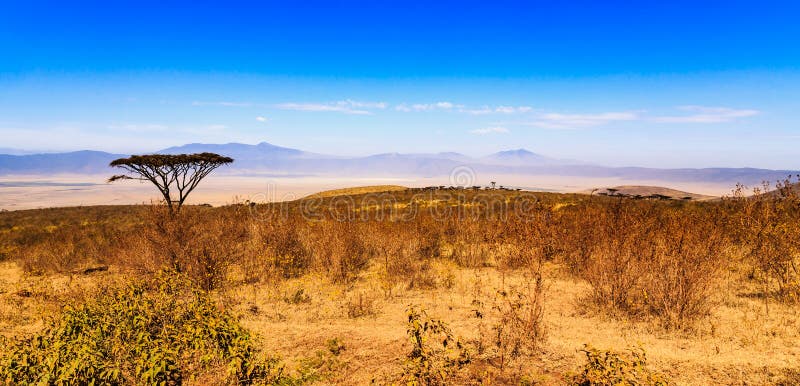 Cratère de Ngorongoro en Tanzanie photographie stock libre de droits Cratère de Ngorongoro en Tanzanie photographie stock libre de droits