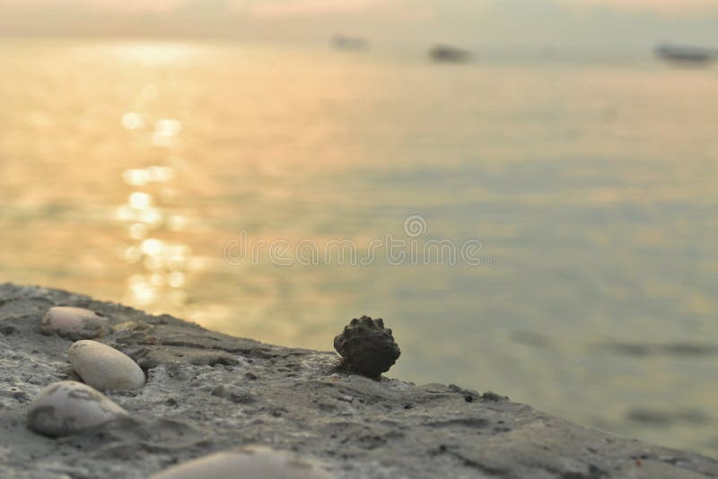 Crawling Stone Miles stock photo. Image of water, winter 242098034