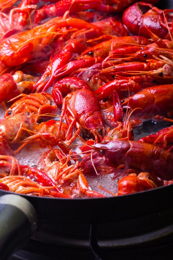 crayfish zdjęcie stock crayfish zdjęcie stock