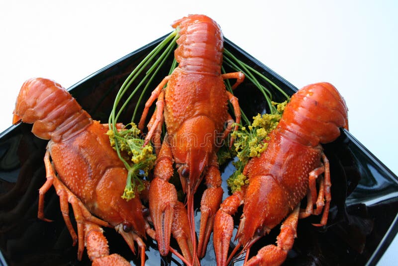 Crayfish and dill