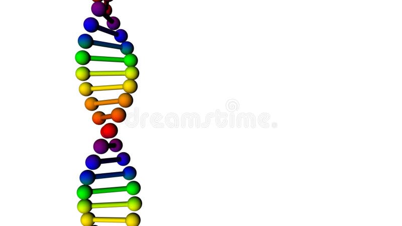 Creación de la DNA del arco iris aislada