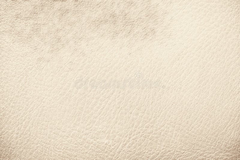Cream Color Background Images  Browse 611419 Stock Photos Vectors and  Video  Adobe Stock