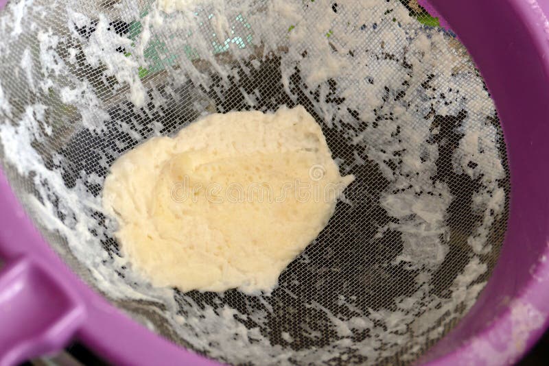 Cream of Cow S Milk Remaining in the Strainer, Cream of Fat Cow S Milk